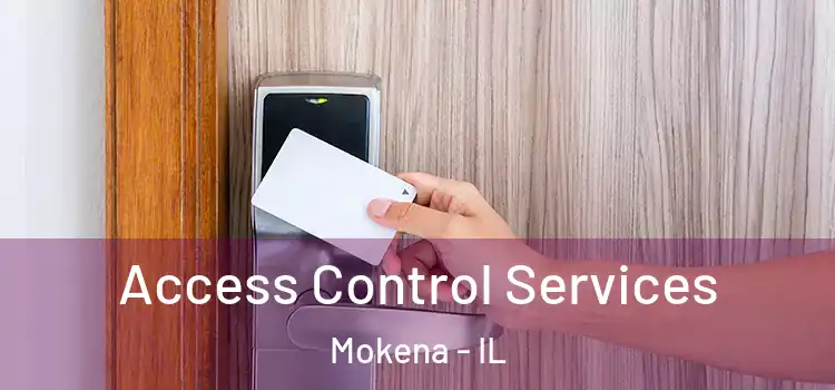 Access Control Services Mokena - IL