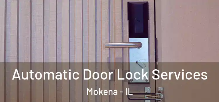 Automatic Door Lock Services Mokena - IL