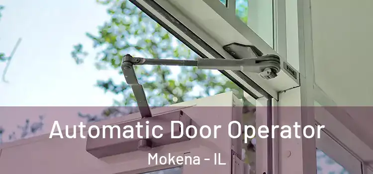 Automatic Door Operator Mokena - IL