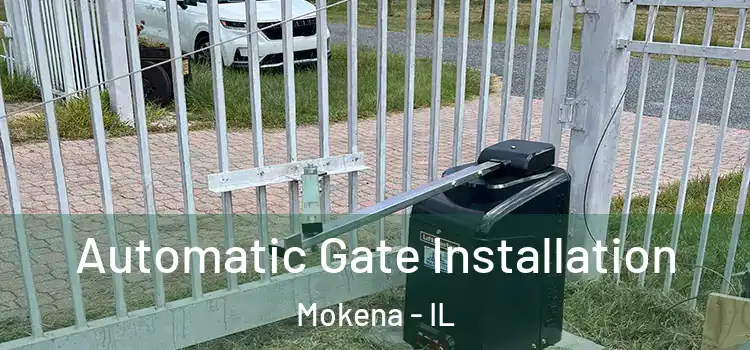 Automatic Gate Installation Mokena - IL