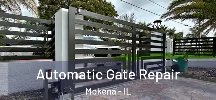 Automatic Gate Repair Mokena - IL