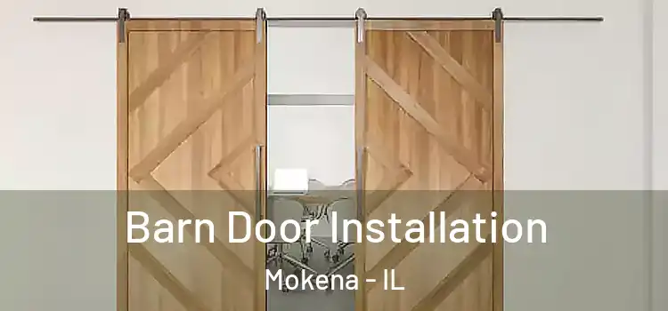 Barn Door Installation Mokena - IL