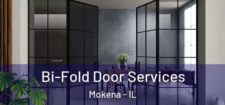Bi-Fold Door Services Mokena - IL