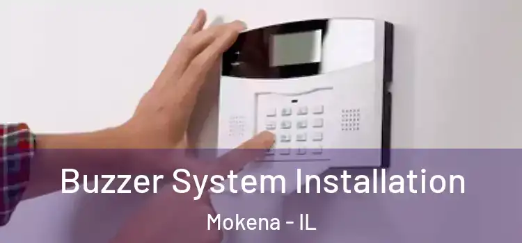 Buzzer System Installation Mokena - IL