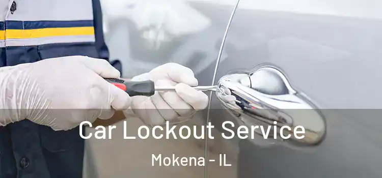 Car Lockout Service Mokena - IL
