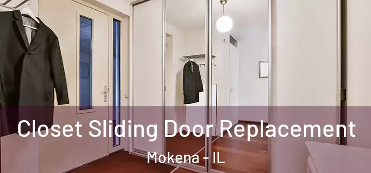 Closet Sliding Door Replacement Mokena - IL