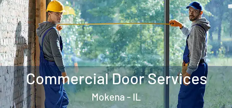 Commercial Door Services Mokena - IL