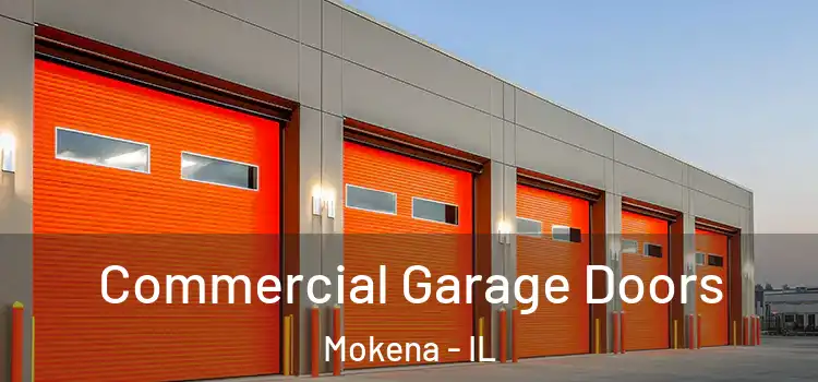  Commercial Garage Doors Mokena - IL