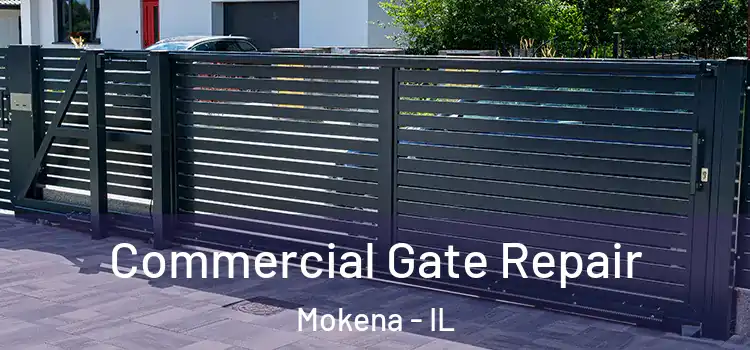 Commercial Gate Repair Mokena - IL