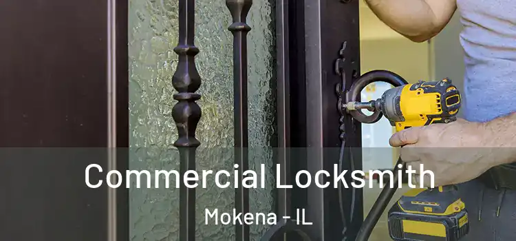 Commercial Locksmith Mokena - IL