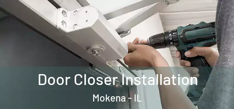 Door Closer Installation Mokena - IL