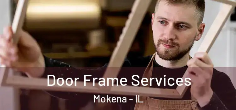 Door Frame Services Mokena - IL