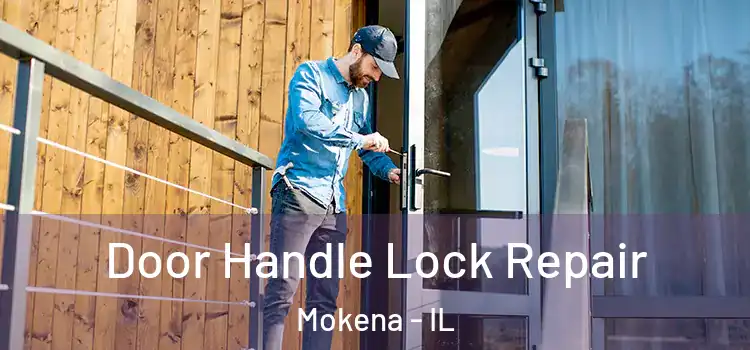 Door Handle Lock Repair Mokena - IL
