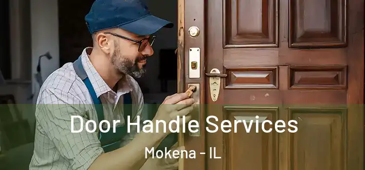 Door Handle Services Mokena - IL