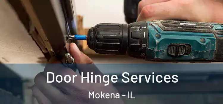 Door Hinge Services Mokena - IL