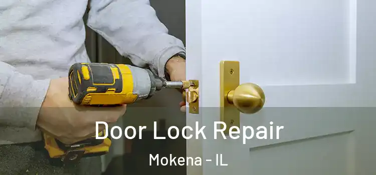 Door Lock Repair Mokena - IL