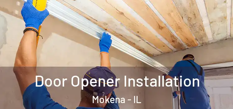 Door Opener Installation Mokena - IL