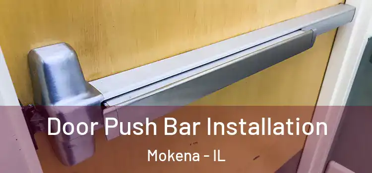 Door Push Bar Installation Mokena - IL