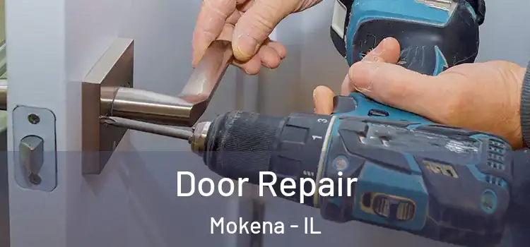 Door Repair Mokena - IL