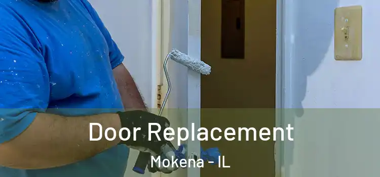 Door Replacement Mokena - IL
