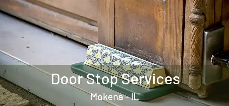 Door Stop Services Mokena - IL