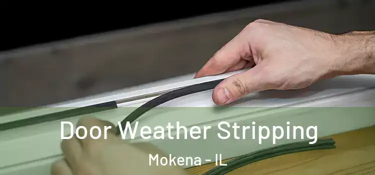 Door Weather Stripping Mokena - IL