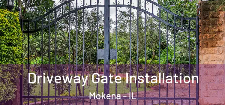 Driveway Gate Installation Mokena - IL