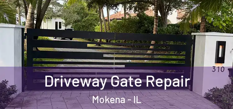 Driveway Gate Repair Mokena - IL