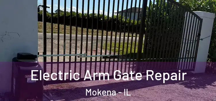 Electric Arm Gate Repair Mokena - IL