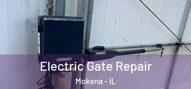 Electric Gate Repair Mokena - IL