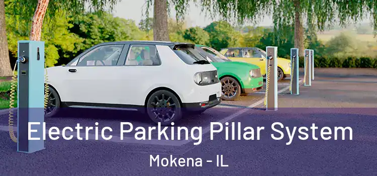 Electric Parking Pillar System Mokena - IL