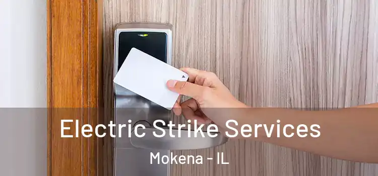 Electric Strike Services Mokena - IL