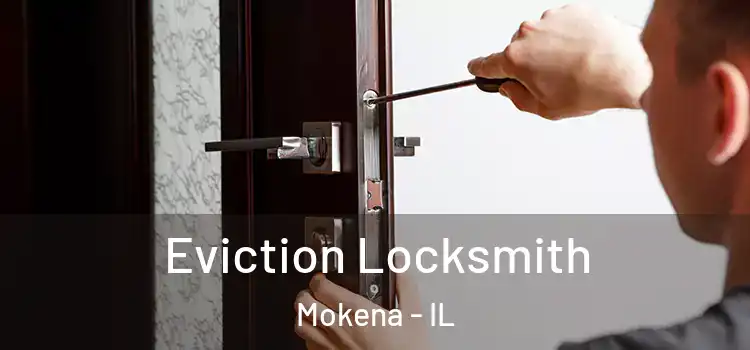 Eviction Locksmith Mokena - IL