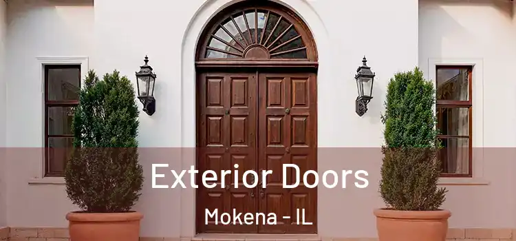 Exterior Doors Mokena - IL