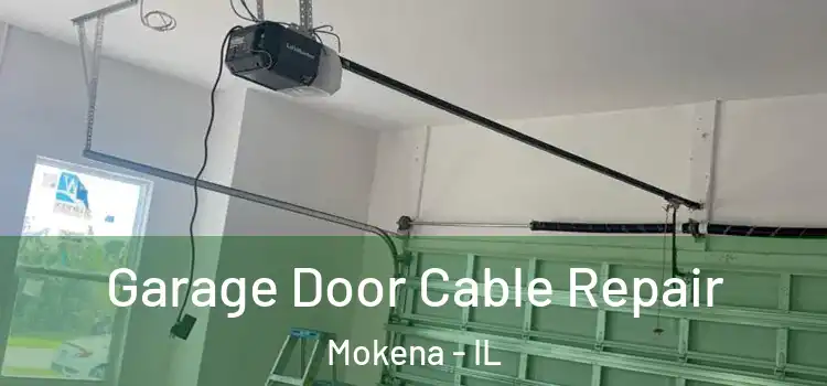  Garage Door Cable Repair Mokena - IL