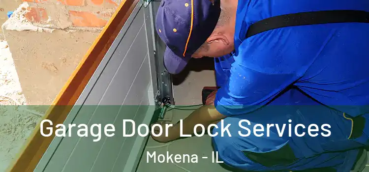 Garage Door Lock Services Mokena - IL