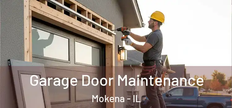 Garage Door Maintenance Mokena - IL