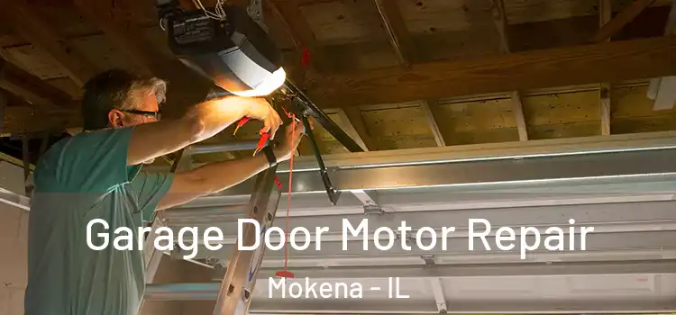  Garage Door Motor Repair Mokena - IL