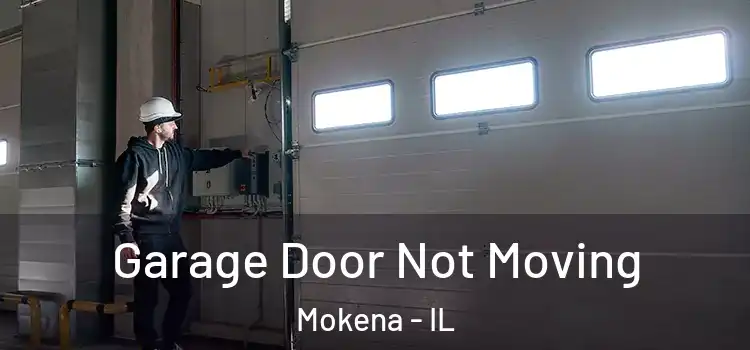 Garage Door Not Moving Mokena - IL