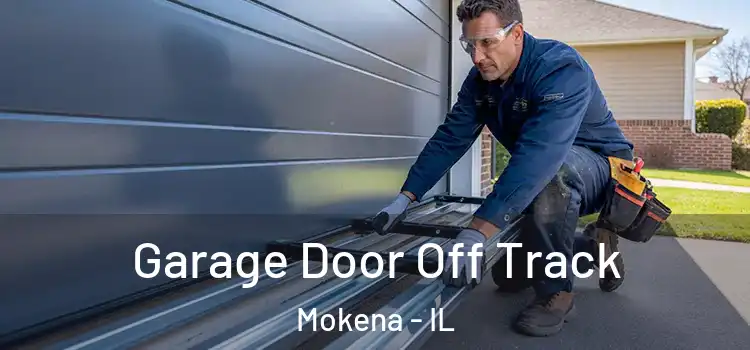  Garage Door Off Track Mokena - IL