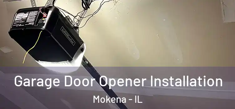  Garage Door Opener Installation Mokena - IL