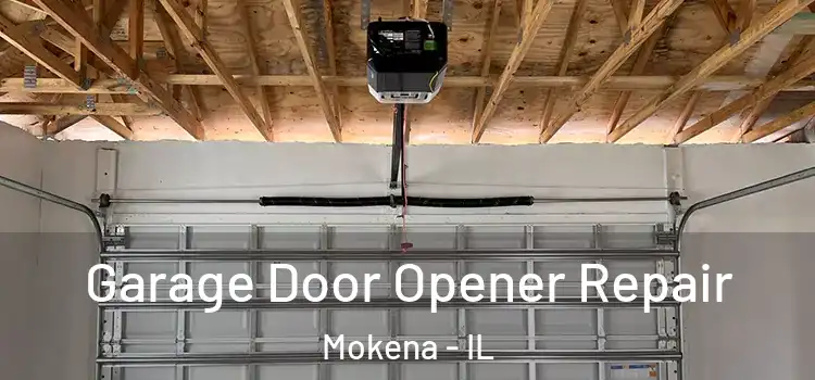  Garage Door Opener Repair Mokena - IL