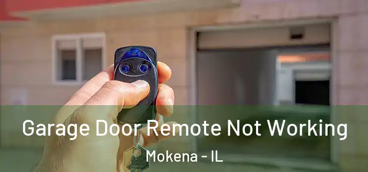  Garage Door Remote Not Working Mokena - IL