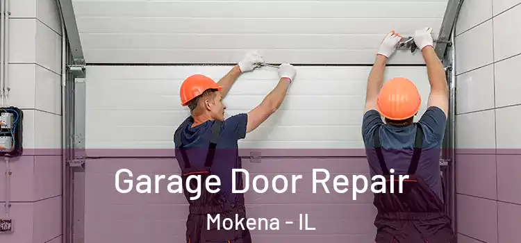  Garage Door Repair Mokena - IL