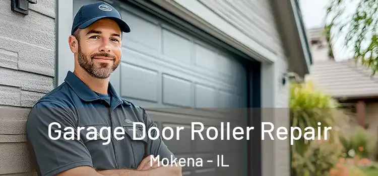  Garage Door Roller Repair Mokena - IL
