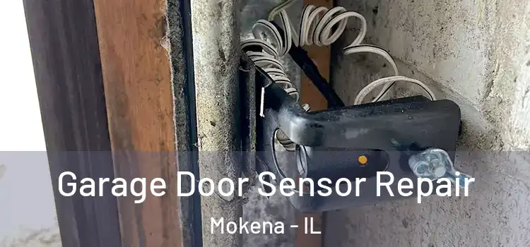 Garage Door Sensor Repair Mokena - IL