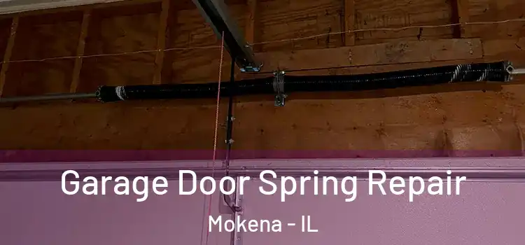  Garage Door Spring Repair Mokena - IL