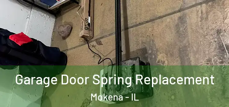 Garage Door Spring Replacement Mokena - IL