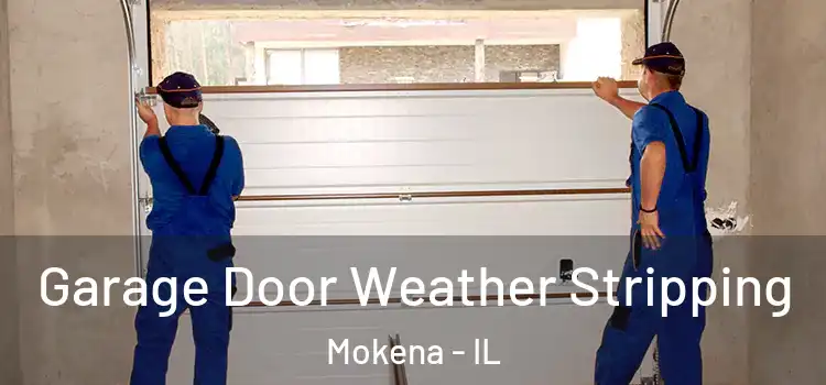  Garage Door Weather Stripping Mokena - IL