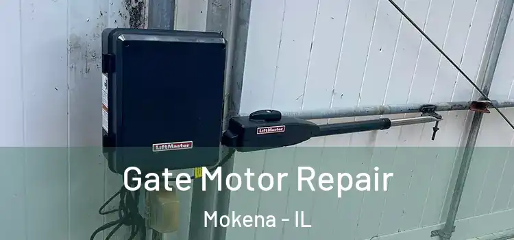 Gate Motor Repair Mokena - IL